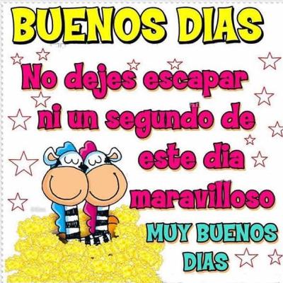Prueba