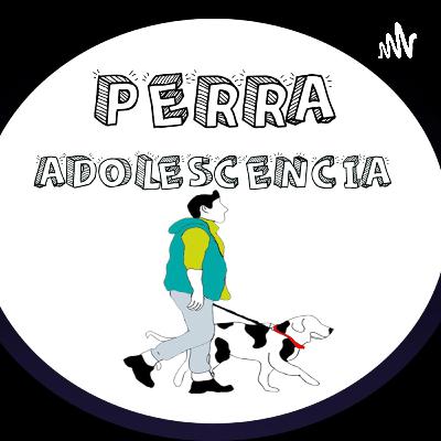Episodio 6 que cambia la vida de un adolescente