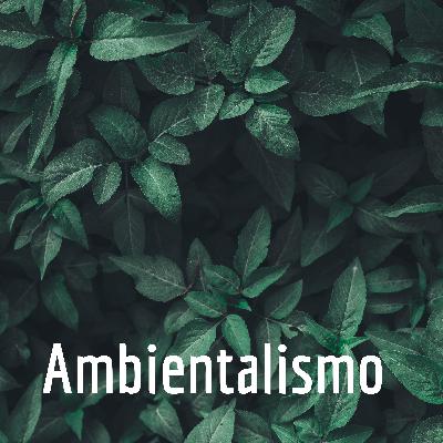 Ambientalismo - Pedagogia