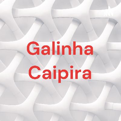 Galinha caipira como criar