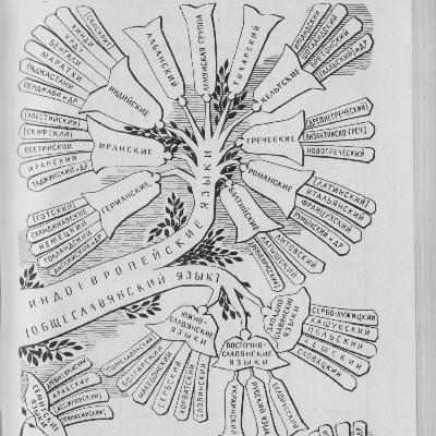 Русский язык в генеалогической классификации языков