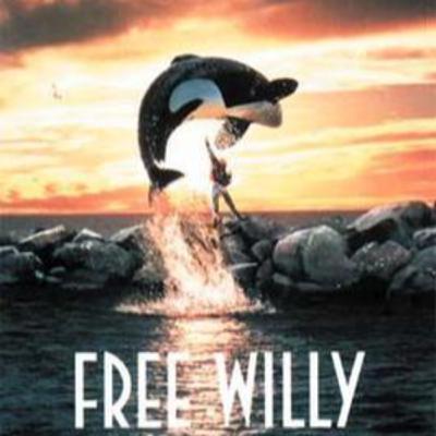 Take it Home or Hide it in the Attic? Free Willy (ft. Zach Milne)