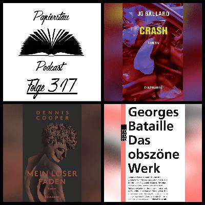 #317: Perverse Perversitäten Deluxe („Travels With My Mother“ - Meike Stein, „Crash“ - J. G. Ballard, „Mein loser Faden“ - Dennis Cooper, „Das obszöne Werk“ - Georges Bataille)