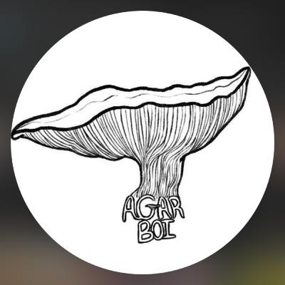 The Entheogen Expo, collecting wild spores, and sclerotia vs cubes, Interview with Bobby of @Agarboi | Season 3 - Ep. 29