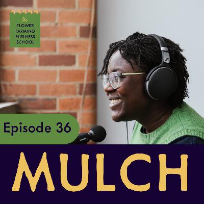 Bringing the first year of Mulch to a Close