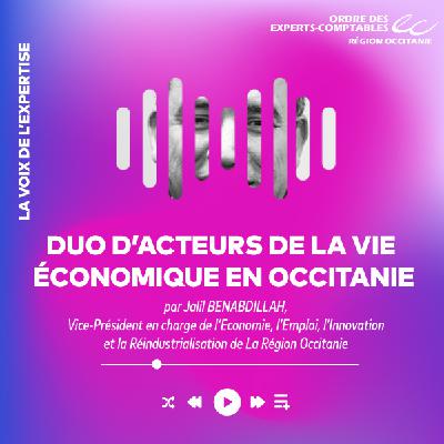 DUO D'ACTEURS DE LA VIE ECONOMIQUE EN OCCITANIE par Jalil BENABDILLAH et Pascal CASTANET