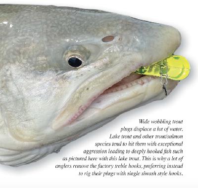 Understanding Trout Plugs - Mark Romanack Article (Fishing 411 TV)