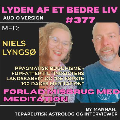#377 -  Niels Lyngsø - Første Del om Indsigtens Landskaber - Mindful Misbrug  - Pragmatisk Buddhisme