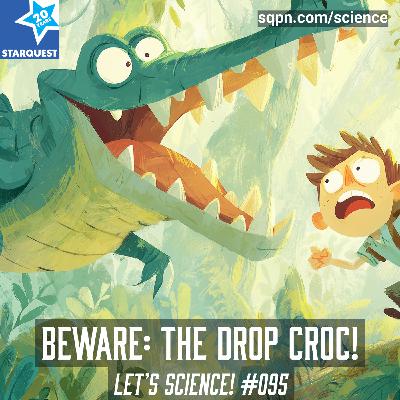 Beware: The Drop Croc! Beware: The Drop Croc!