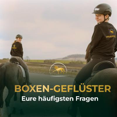 Warum wir über Pferdefütterung reden müssen: Eure häufigsten Fragen