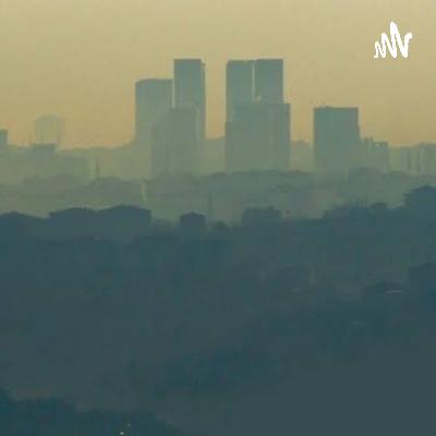 Acciones para la conservación de la salud y del ambiente ante la contaminación ambiental