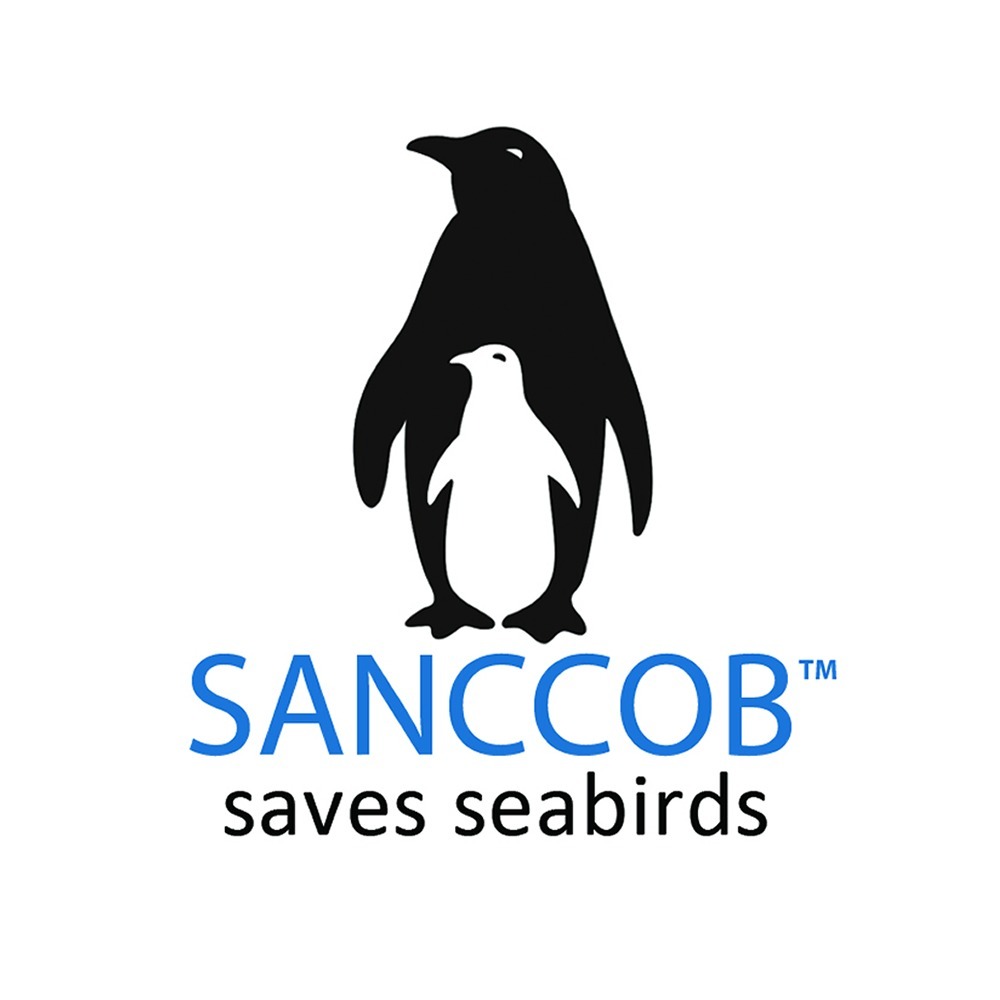 Adopt & Name an African Penguin today episode artwork