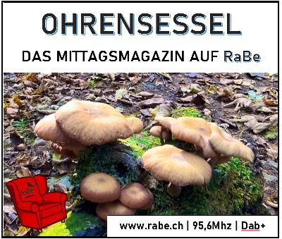 Der Pilz - vielfältig in Aroma, Geschmack und Wirkung