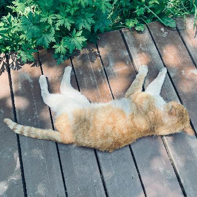 寥聊 #131 独自去偷欢