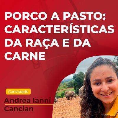 Porco a pasto: características da raça, sabor e aroma da carne