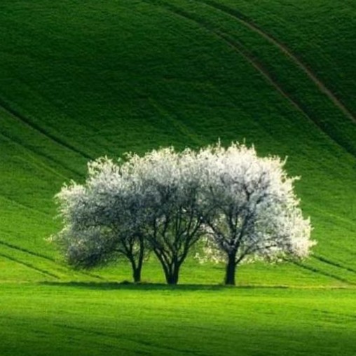 انتقال اطلاعات به ذهن