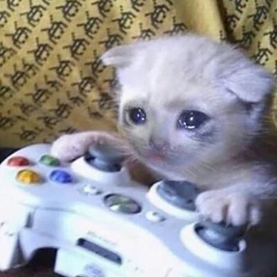 La única razón por la que nos gustaba ir por las tortillas - Los Videojuegos