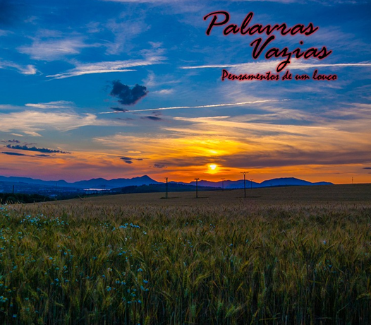 Palavras Vazias - Não é o que Queria episode artwork