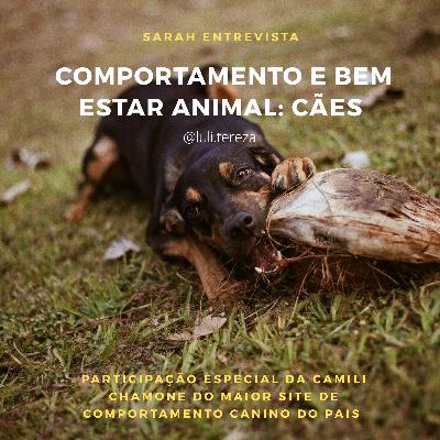 DOGCAST - COMPORTAMENTO E BEM ESTAR DOS CÃES com CAMILI CHAMONE do @seubuldoguefrances DOGCAST - COMPORTAMENTO E BEM ESTAR DOS CÃES com CAMILI CHAMONE do @seubuldoguefrances
