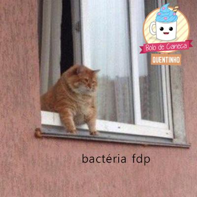 Bolo Quentinho #1: bactéria fdp