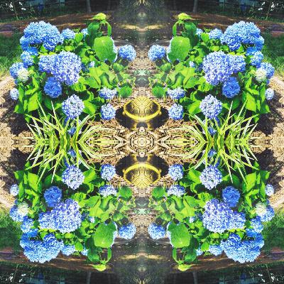 Chapter 23: But most of all, you better not forget me