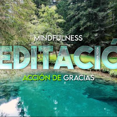 Día de Acción de Gracias con Mindfulness | Meditación Guiada de Gratitud | Thanksgiving