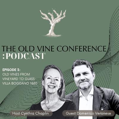 Ep. 3 Old vines from vineyard to glass: Villa Bogdano 1880 - The Old Vine Conference Podcast Ep. 3 Old vines from vineyard to glass: Villa Bogdano 1880 - The Old Vine Conference Podcast
