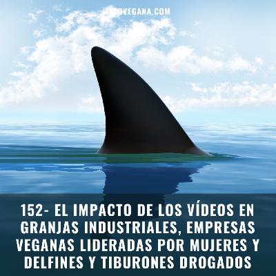 152-EL IMPACTO DE VÍDEOS EN GRANJAS INDUSTRIALES, EMPRESAS VEGANAS LIDERADAS POR MUJERES Y DELFINES DROGADOS | Infovegan 152-EL IMPACTO DE VÍDEOS EN GRANJAS INDUSTRIALES, EMPRESAS VEGANAS LIDERADAS POR MUJERES Y DELFINES DROGADOS | Infovegan