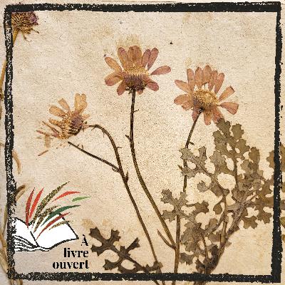 Des herbiers naturels anciens à la BSG [Hors-série]
