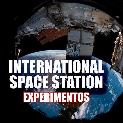 EXPERIMENTOS NA ISS - Ciência Sem Fim #318