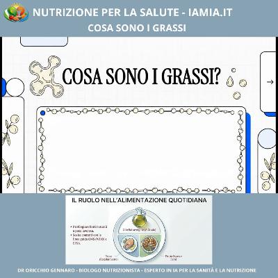 #082-26 COSA SONO I GRASSI