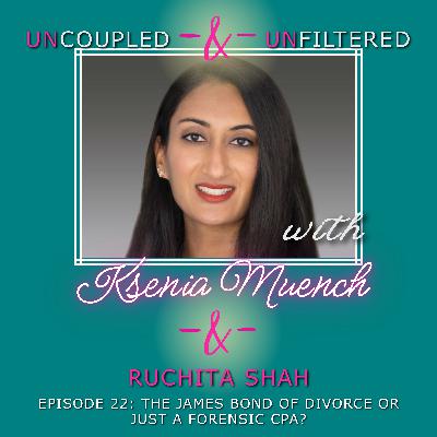 The James Bond of Divorce, Or Just a Forensic CPA?