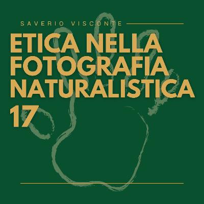 17 - Etica nella fotografia naturalistica 17 - Etica nella fotografia naturalistica