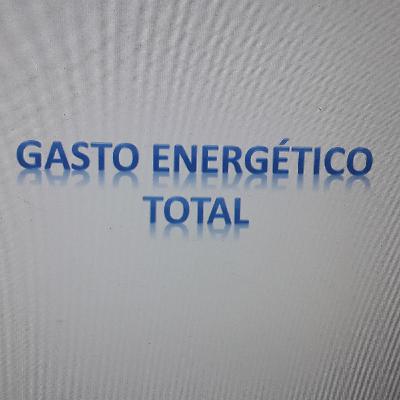 Gasto Energético Total