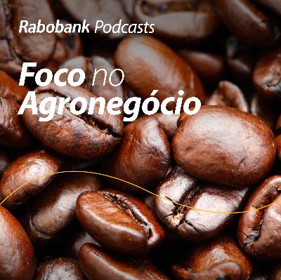 Olho no mercado – Café: Nova Safra Brasileira Chegou! O que esperar?