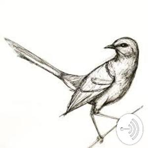 Women and Femininity in To Kill a Mockingbird