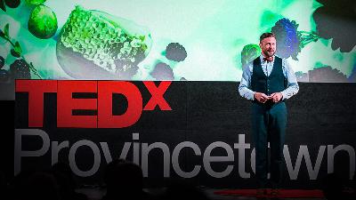 Why bees hold the key to our future | Noah Wilson-Rich Why bees hold the key to our future | Noah Wilson-Rich