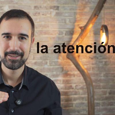 Focaliza la atención
