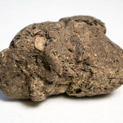 Vous mangeriez du caca ?