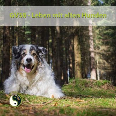 GV 58_Leben mit alten Hunden