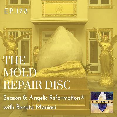 The Mold Repair Disc The Mold Repair Disc
