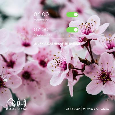 Tempo de Pascua | VII xoves