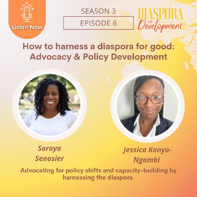How to harness a diaspora for good: Advocacy & Policy Development