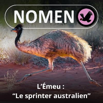 S05E30 L'Émeu : "Le sprinter australien"