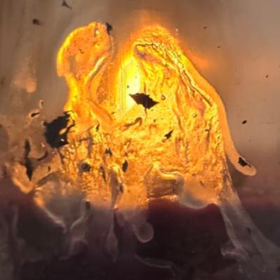 Noviembre, el mes de la esperanza y la fe - Pronto llegará lo que pediste