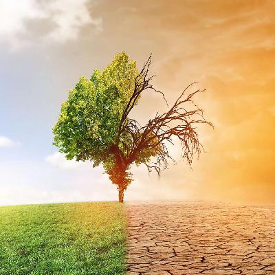 TSIBA MALONGA : LA FIN DU MONDE, PROBLÈME CLIMATIQUE ET FIN DU RÈGNE MALÉFIQUE TSIBA MALONGA : LA FIN DU MONDE, PROBLÈME CLIMATIQUE ET FIN DU RÈGNE MALÉFIQUE