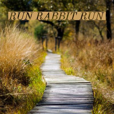 Run Rabbit Run