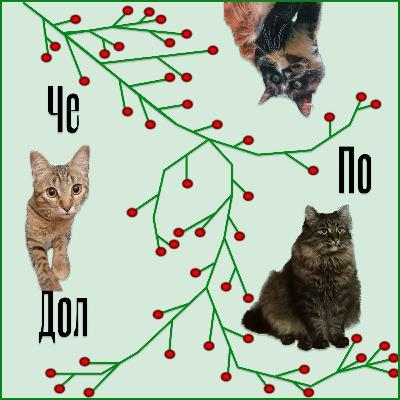 Київський тиждень критики