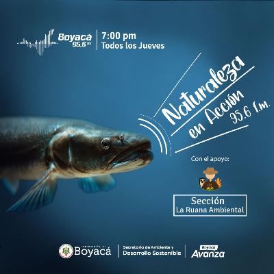 T3 -Ep 1 - Hablemos de la Gestión del Recurso Hídrico en el departamento de Boyacá