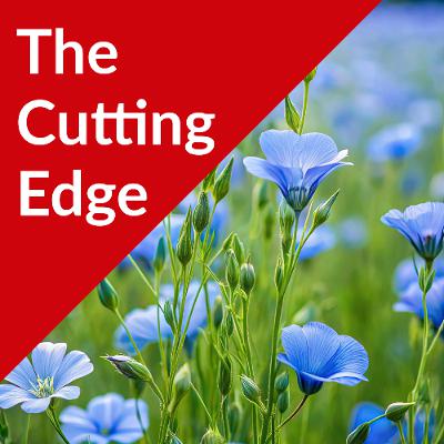 Episode #54: Fiber Flax - Building the US Linen Industry from the Ground Up Episode #54: Fiber Flax - Building the US Linen Industry from the Ground Up